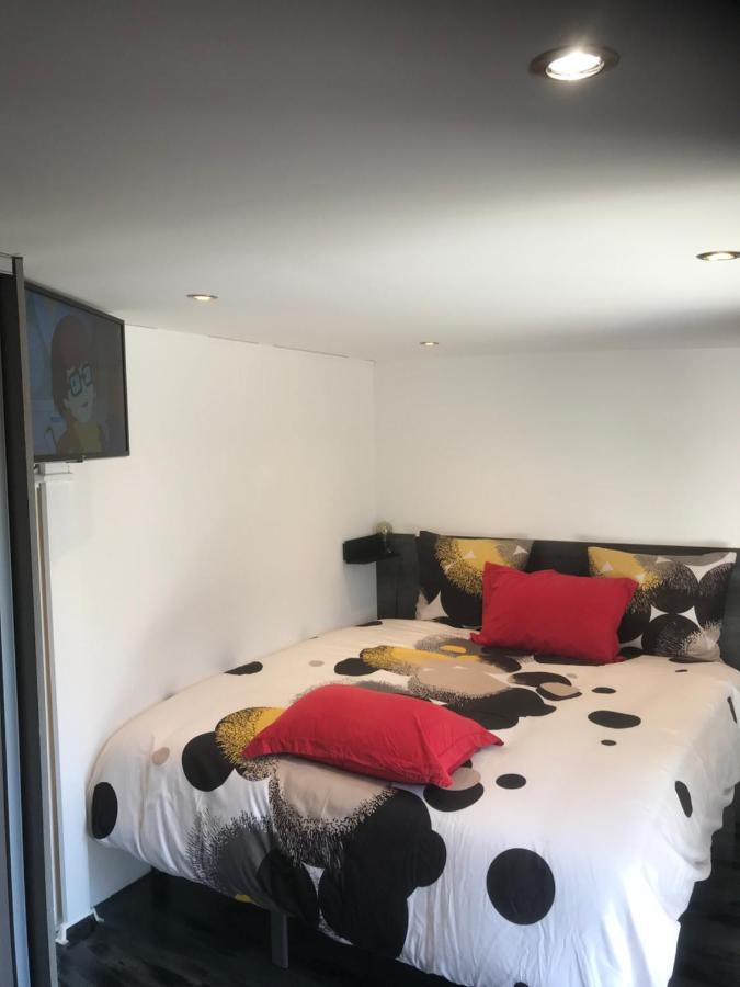 Majolaine Stade Appartamento Meyzieu Esterno foto